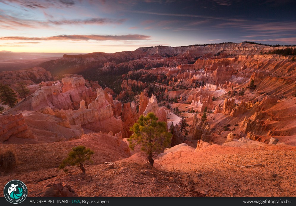 Alba al Bryce