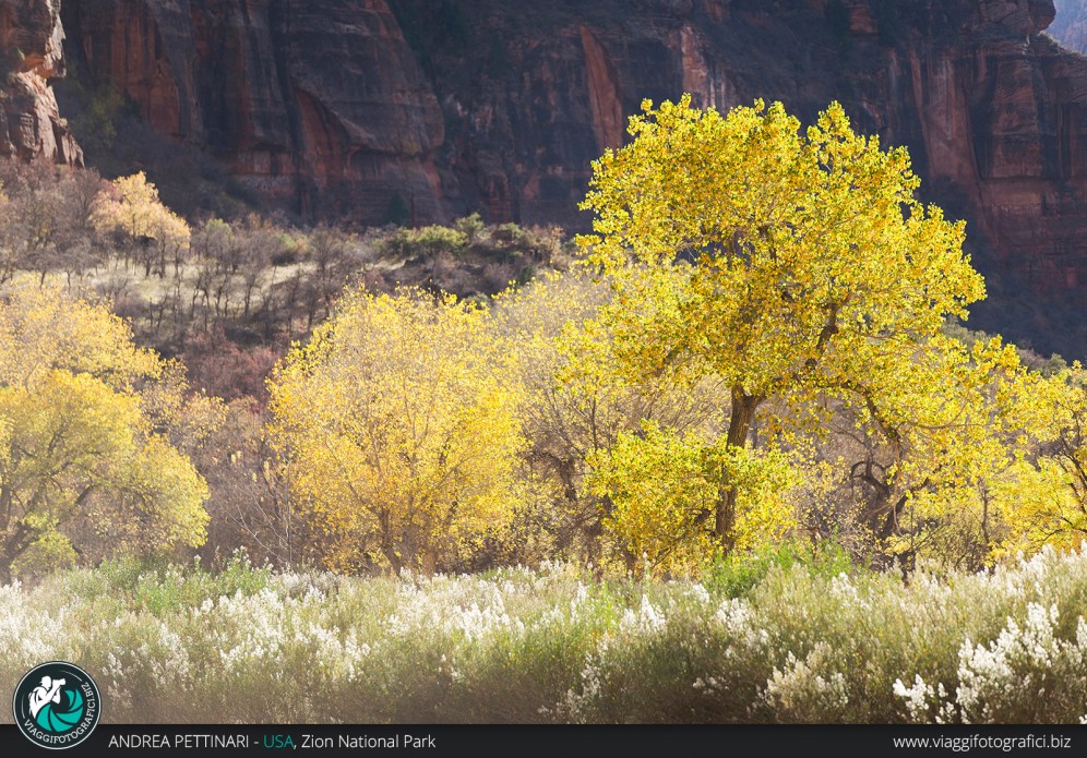 Autunno allo Zion