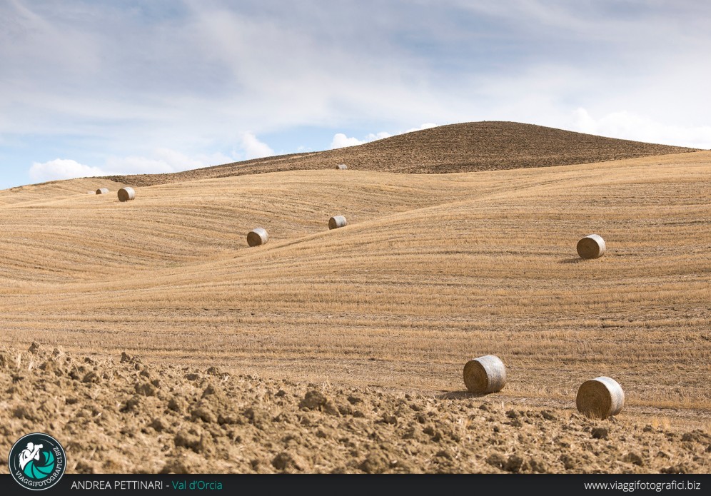 Balle di fieno e colline