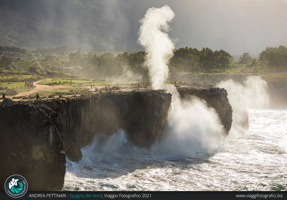 Bufones de Pria