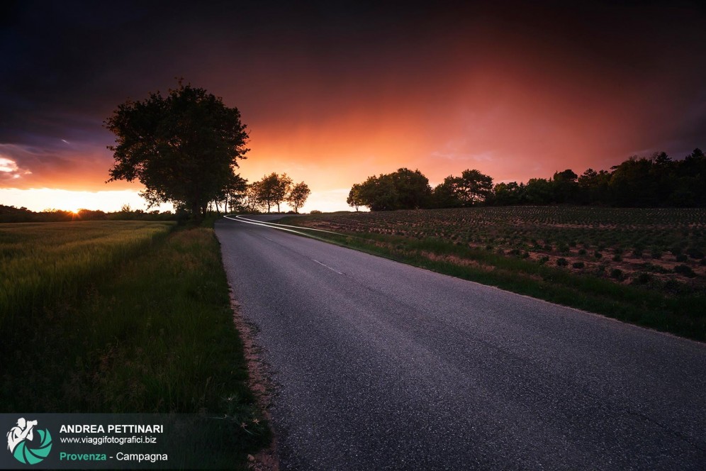 Campagna Provenzale al Tramonto