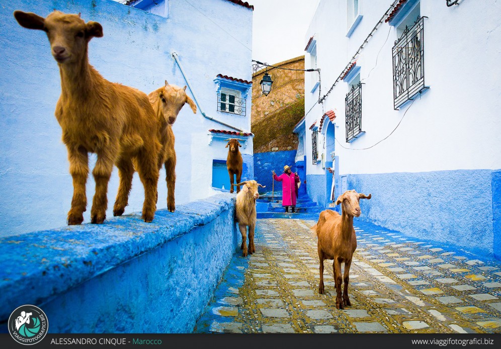 Per le vie di Chefchaouen in Marocco.