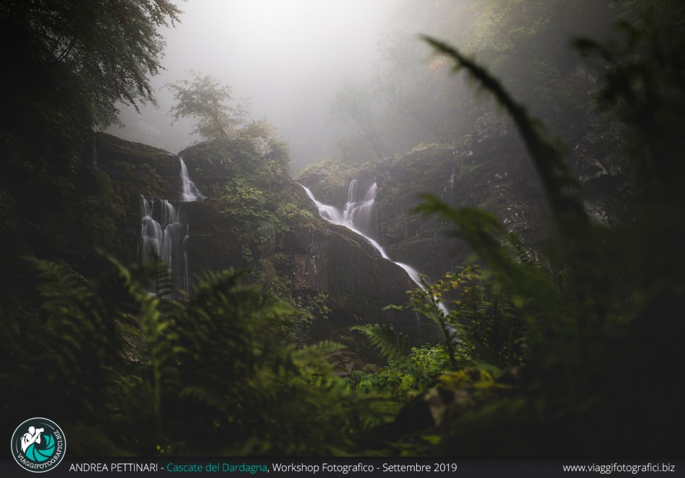 Cascate tra la nebbia