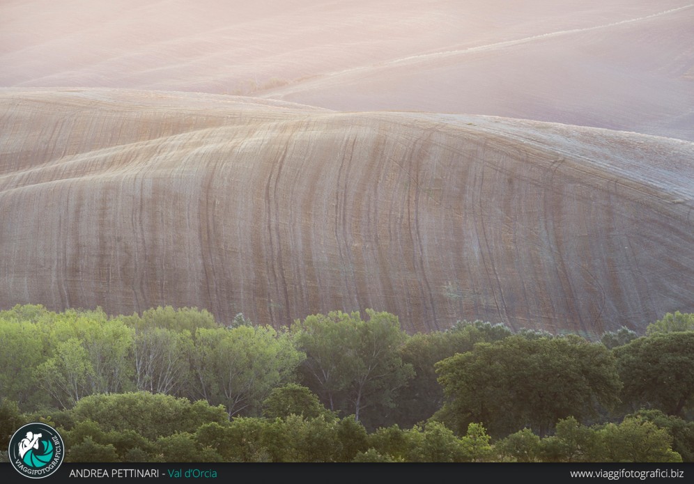 Colline, alberi e luce