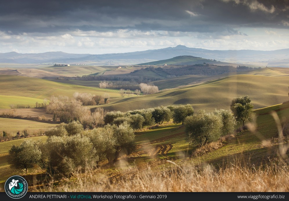 Colline e Radicofani