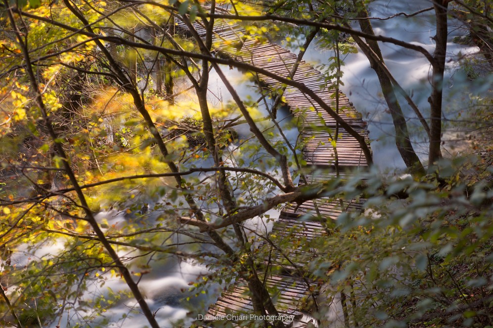 Workshop plitvice 2014. Autore: Daniele Chiari.