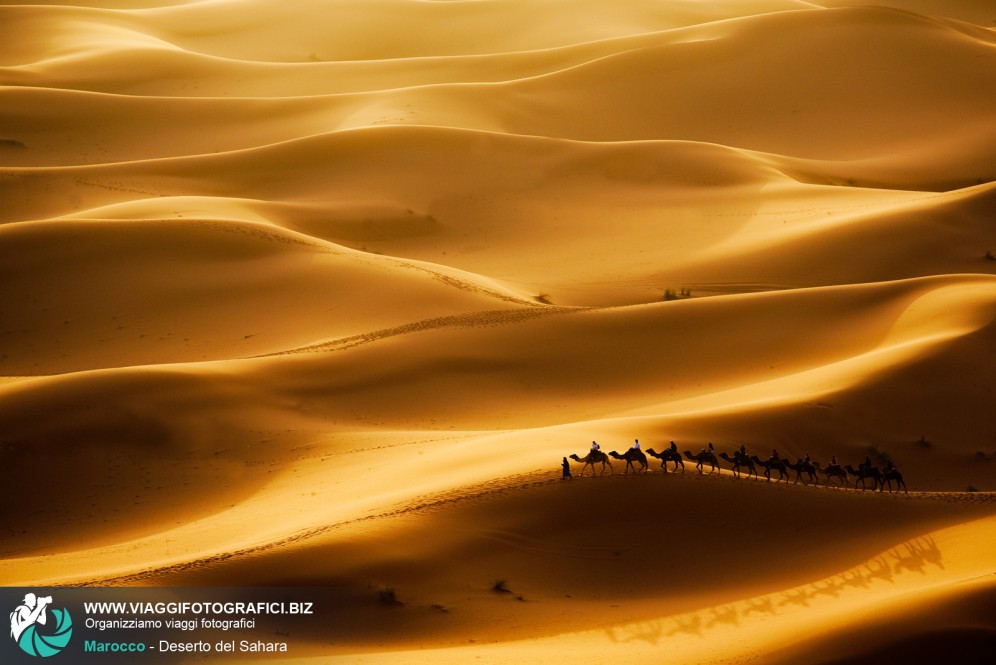 Deserto del Sahara