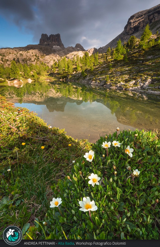 Fioritura al Lago Limides