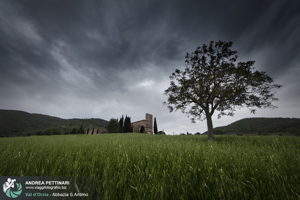 Abbazia di S.Antimo