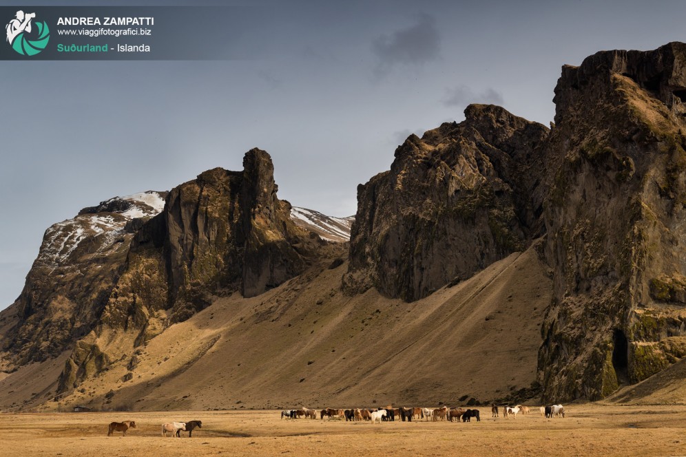 Cavalli a Suðurland