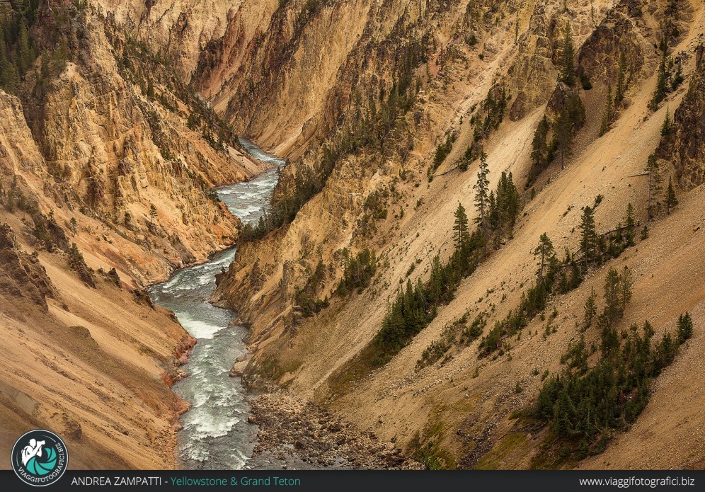 Dettaglio Grand Canyon dello Yellowstone