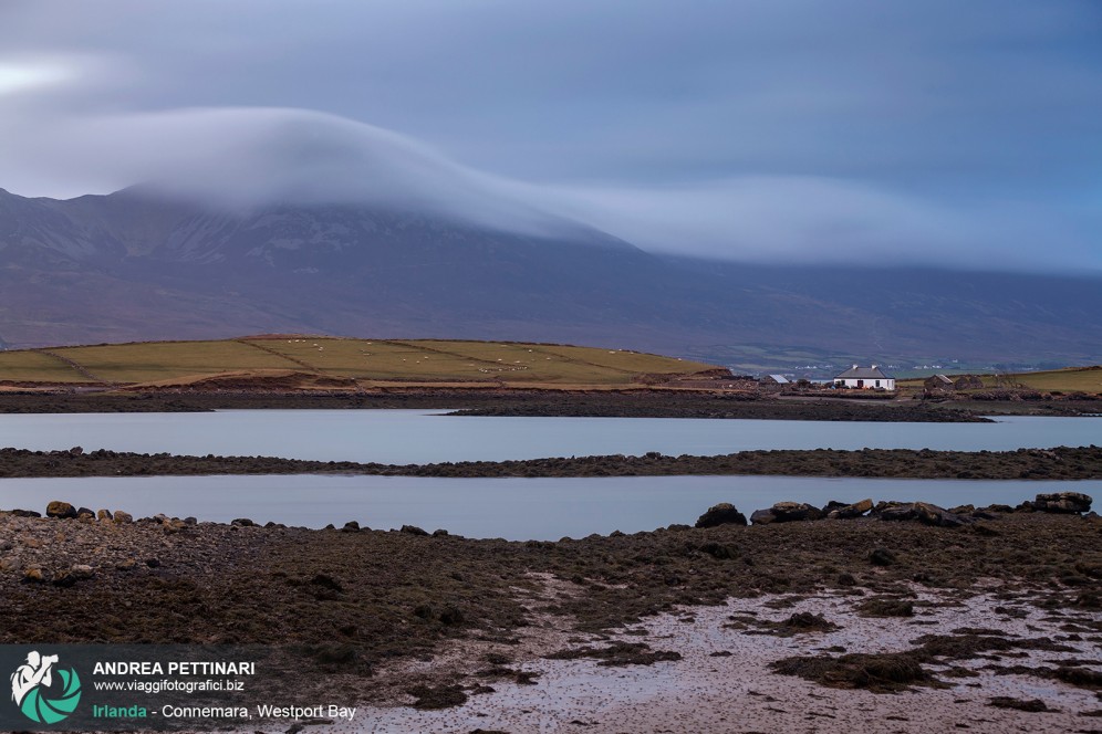 Westport Bay