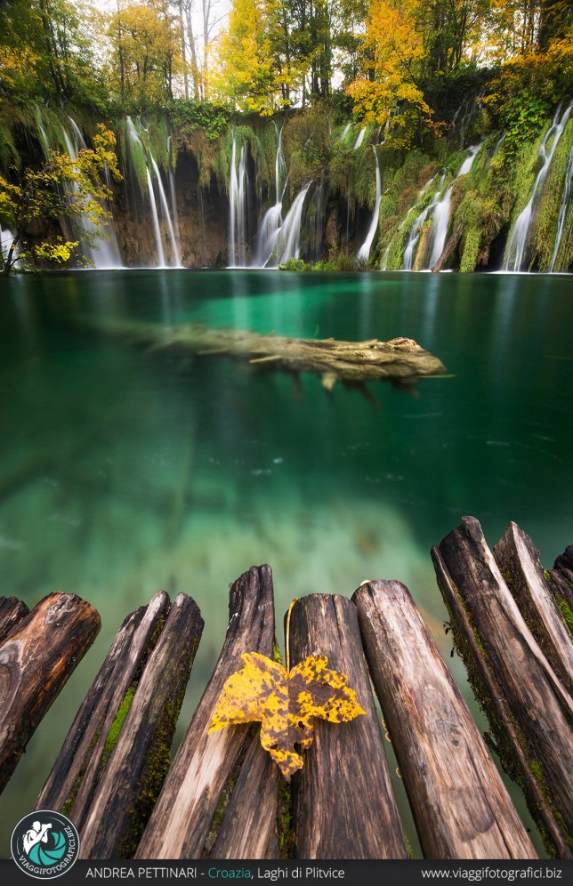 La foglia e la cascata