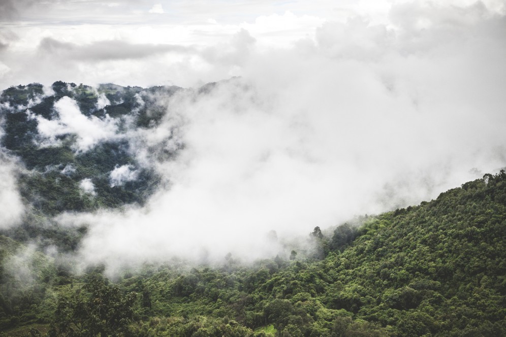 Laos - Foresta pluviale sulle remote montagne della regione di Phongsali.