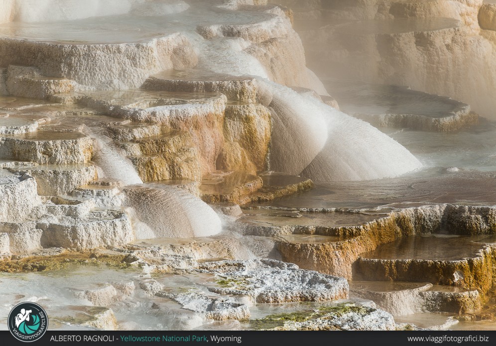 Mammoth Hot Springs