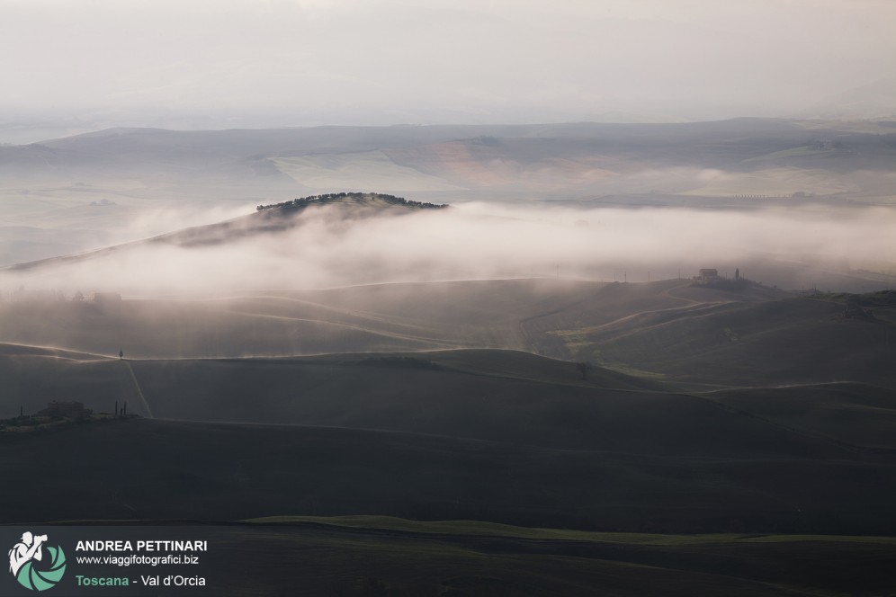 Nebbia in Val d'Orcia