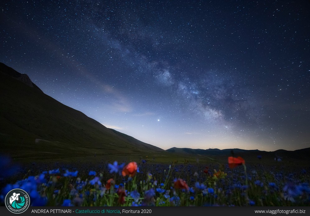 Notte gelida e fiorita