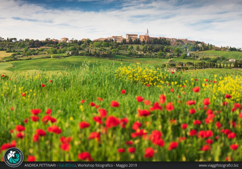 Pienza e papaveri