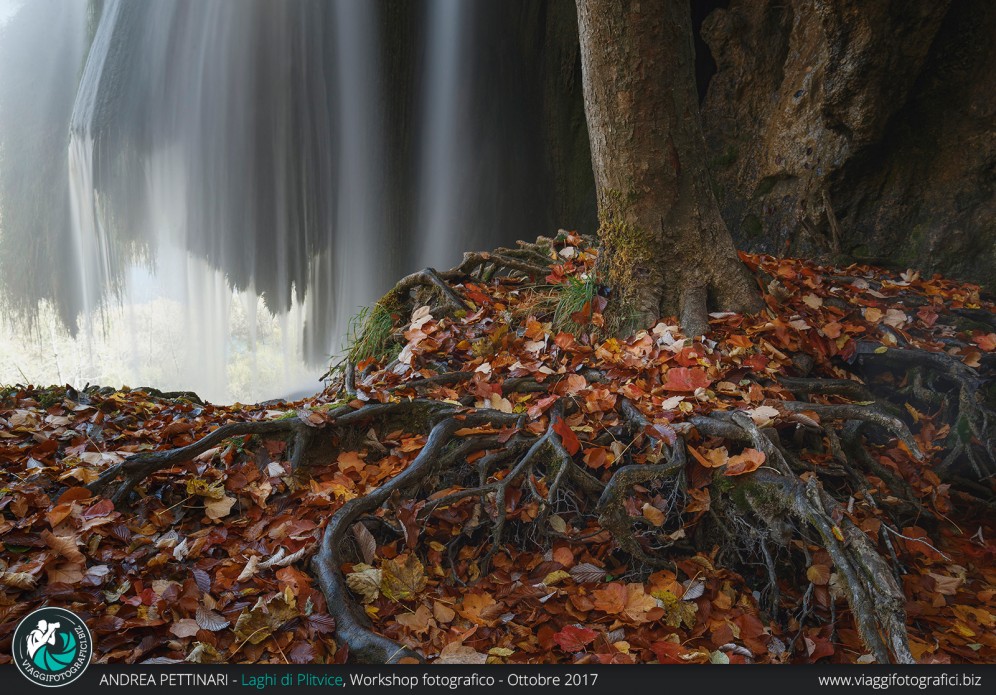 Radici e cascata