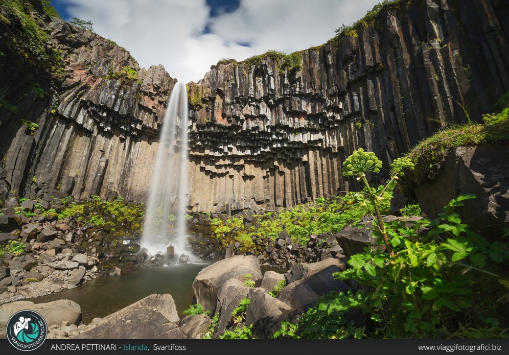 Svartifoss estiva