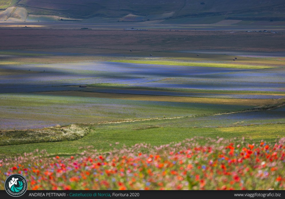 Tavolozza di colori