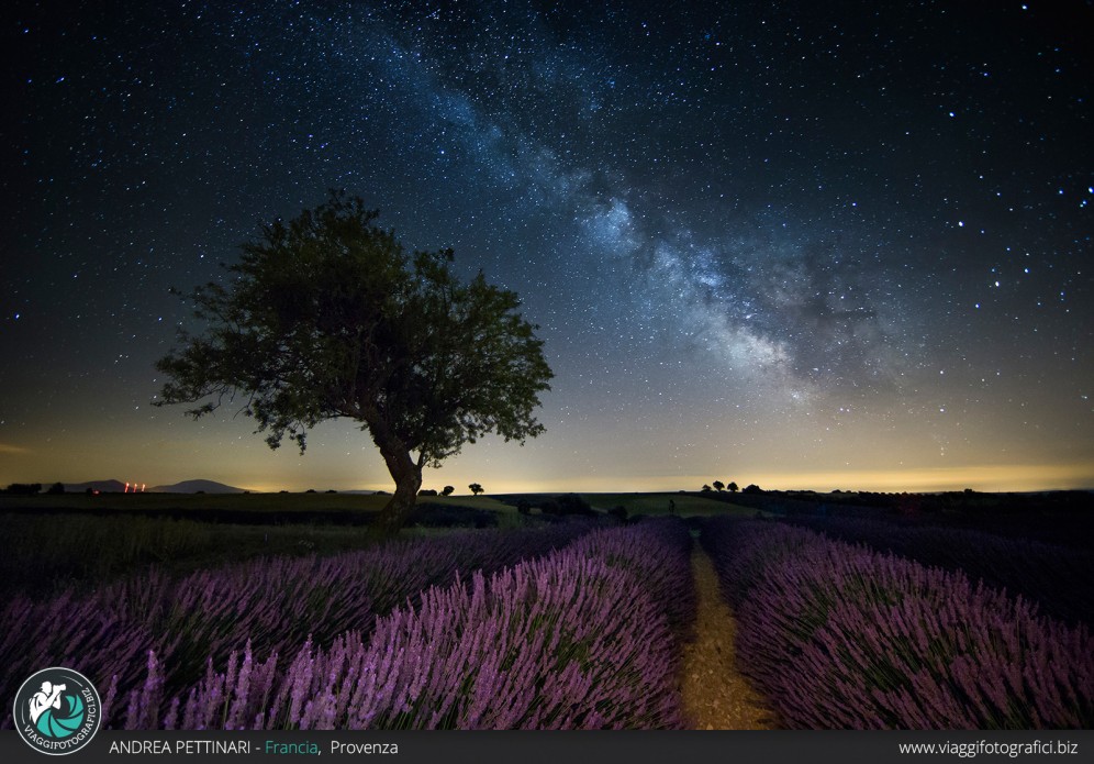 Tra via lattea e lavanda