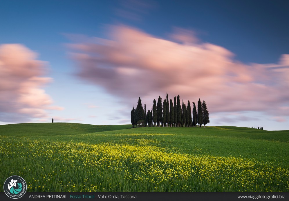 Tramonto ai cipressi