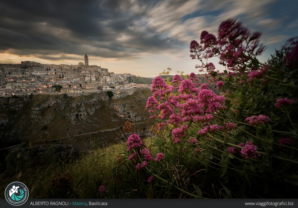 Tramonto Fiorito Matera