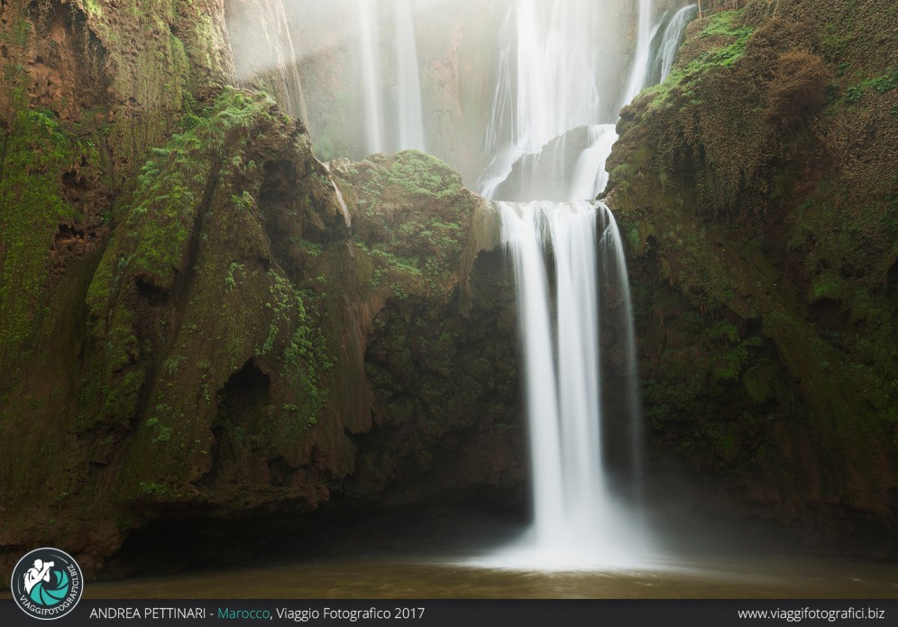 Ultimo salto