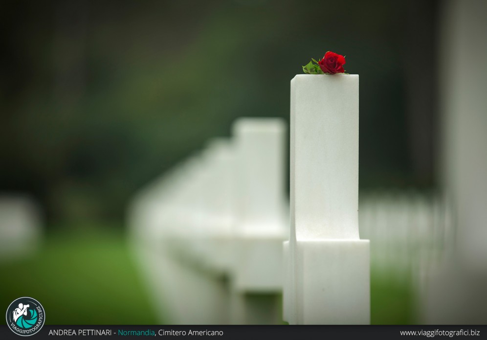 Una rosa sulla tomba