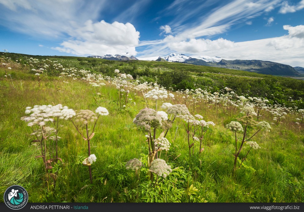 Vatnajökull e l'estate