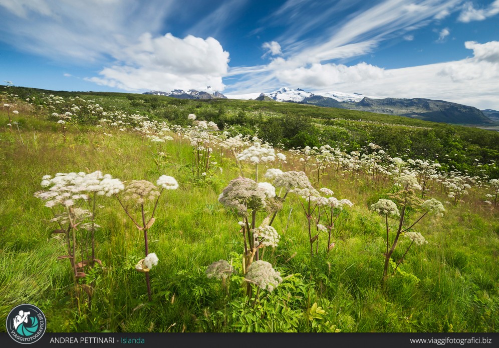 Vatnajökull e l'estate