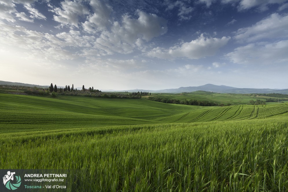 Verdi colline in Val d'Orcia