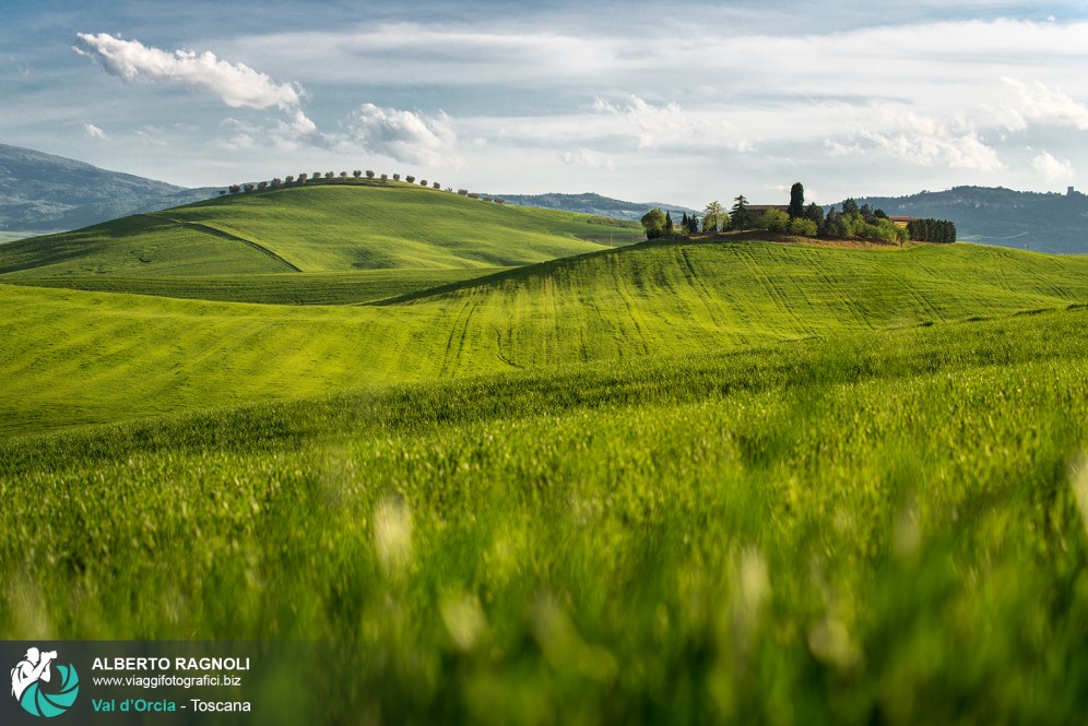 Le verdi colline della val d'Orcia.