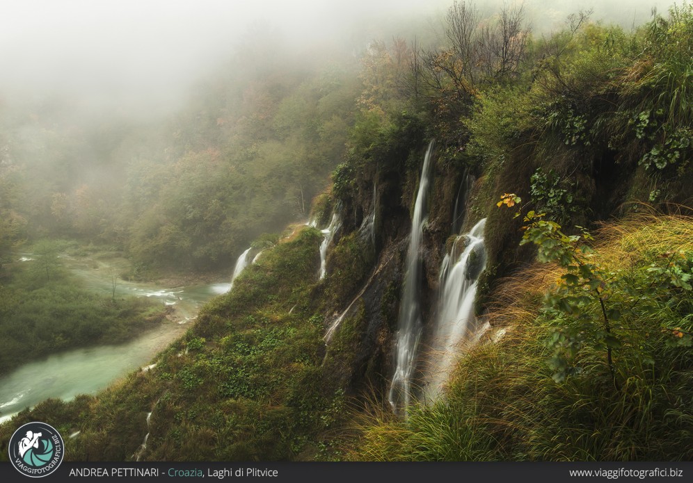 Verso la nebbia