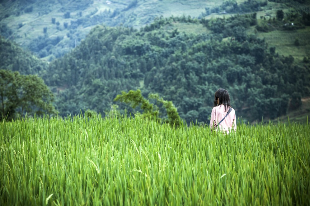 Vietnam - Giovane coltivatrice di riso nelle montagne intorno a Sapa.