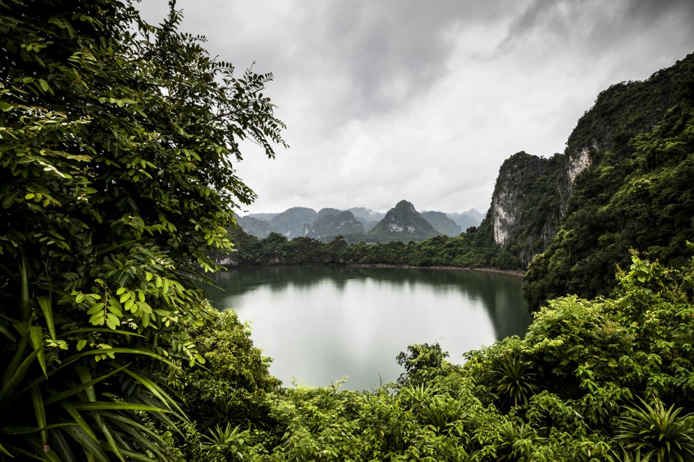 Vietnam - Isole calcaree della baia di Lan Ha, intorno all'isola di Cat Ba.