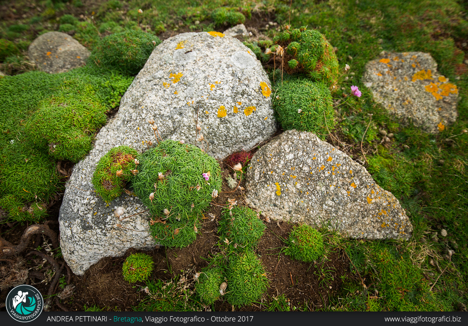 viaggio fotografico bretagna, diario di viaggio 2017