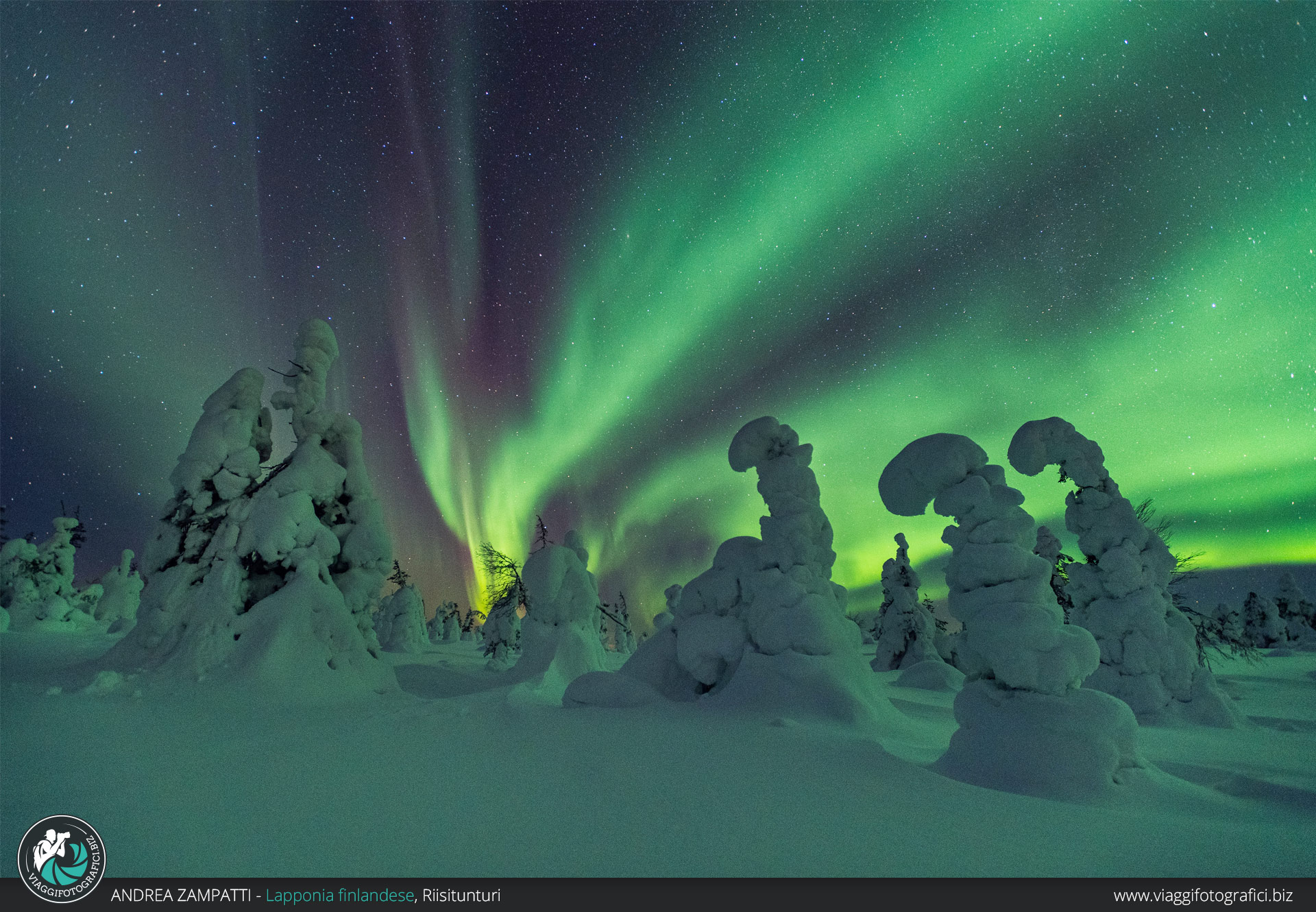 anni migliori per vedere l'aurora boreale