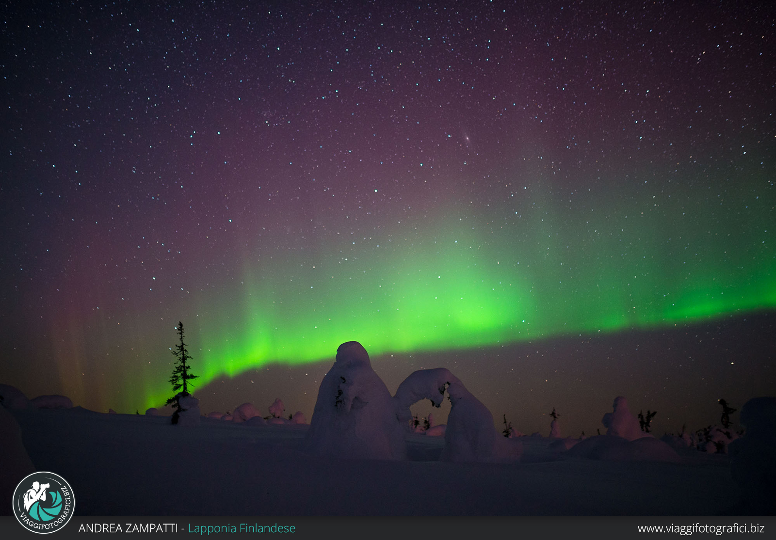 anni migliori per vedere l'aurora boreale