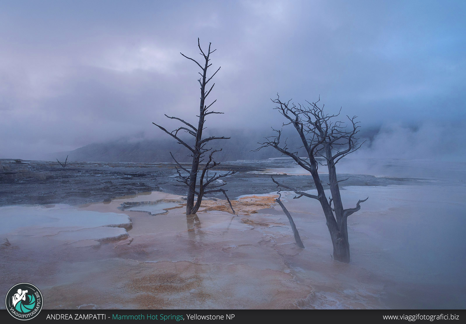 Mammoth hot spring all'alba