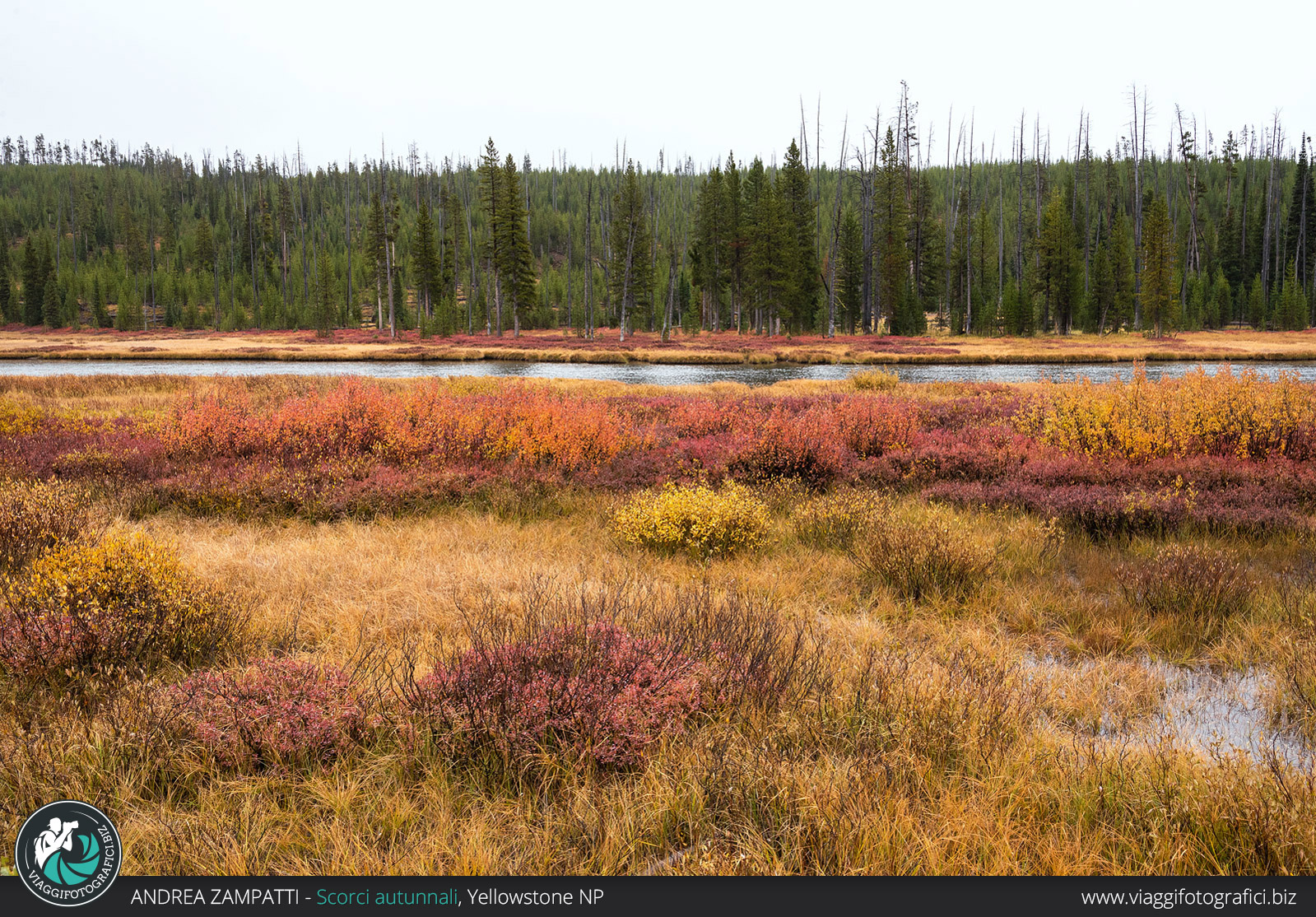 Yellowstone