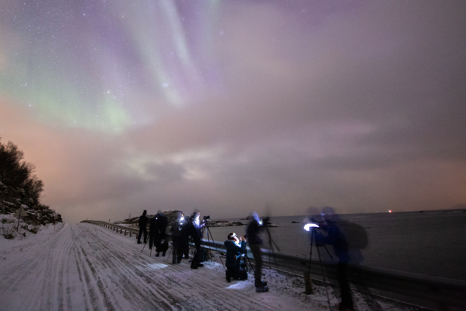 aurora boreale lofoten