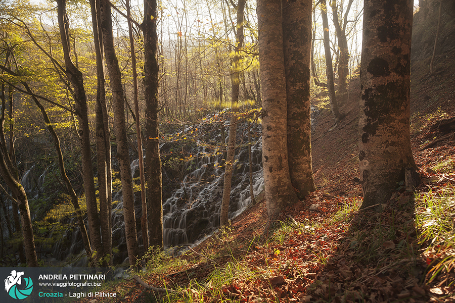Workshop fotografico plitvice autunno 2014