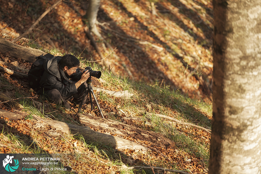 Workshop fotografico plitvice autunno 2014