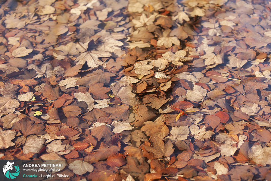 Workshop fotografico plitvice autunno 2014