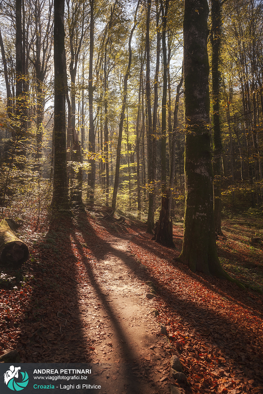 Workshop fotografico plitvice autunno 2014