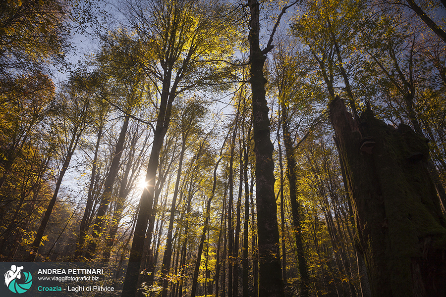 Workshop fotografico plitvice autunno 2014