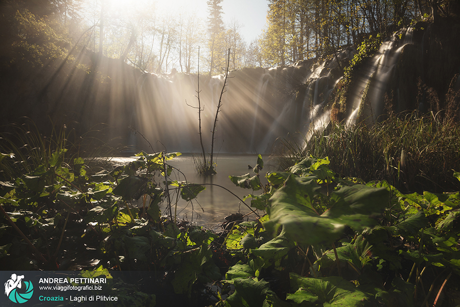 Workshop fotografico plitvice autunno 2014